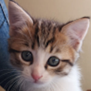 Meet your Posher, Emma